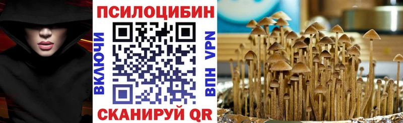 цены наркотик  Апшеронск  сайты даркнета клад  Псилоцибиновые грибы Cubensis 