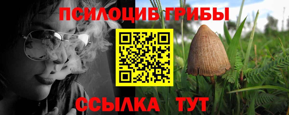 Псилоцибиновые грибы мицелий  Вход с VPN  Апшеронск 